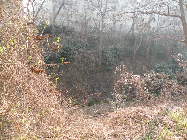  friches de la petite ceinture